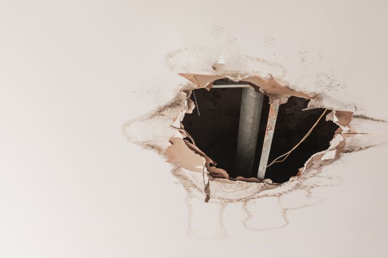 Ceiling Water Damage Repair in Alpharetta, GA