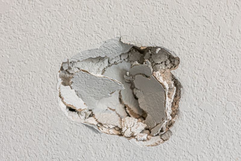 Wall Hole Repair in Spring